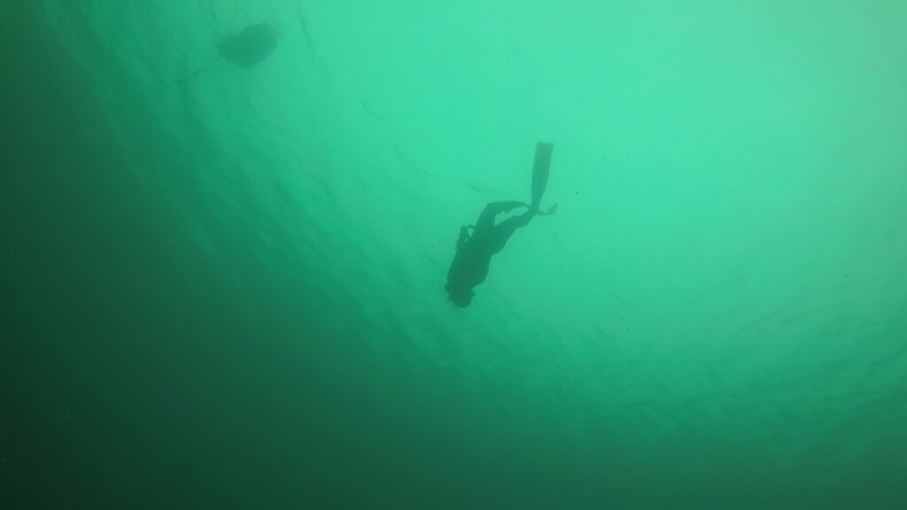 Apnoetaucher beim Abtauchen