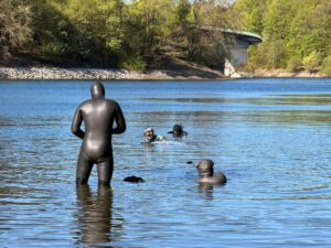 Einstieg in die Wuppertalsperre. Vier Schwimmer begeben sich in Neoprenanzügen ins Wasser.